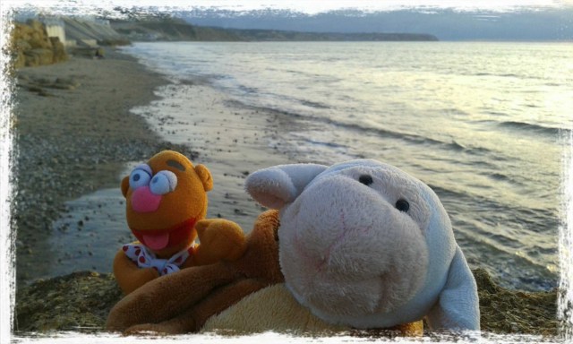 01°0′S 80°40′W