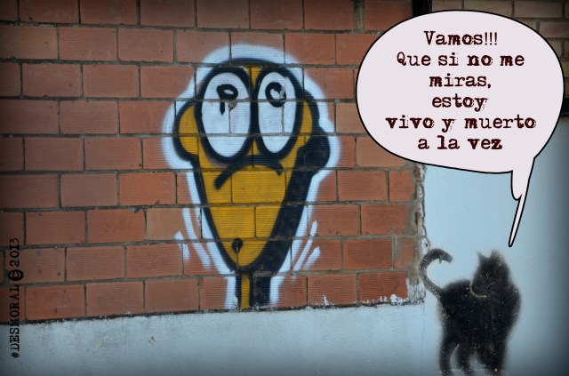 El gato.... de la calle