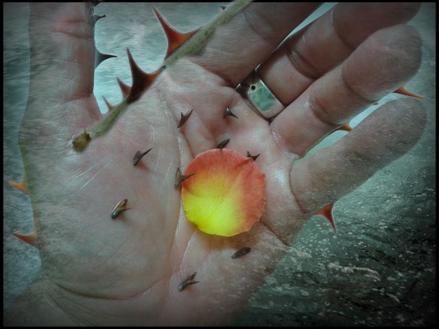 Cogelo sin pincharte